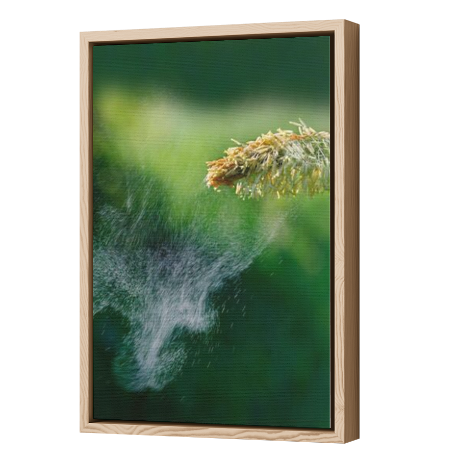 Thumbnail for Canvas - Wood Grain Floating Frame