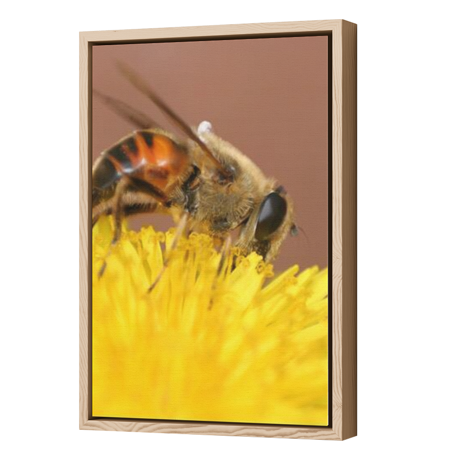 Thumbnail for Canvas - Wood Grain Floating Frame