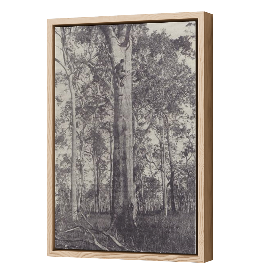 Thumbnail for Canvas - Wood Grain Floating Frame