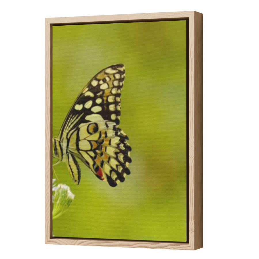 Thumbnail for Canvas - Wood Grain Floating Frame