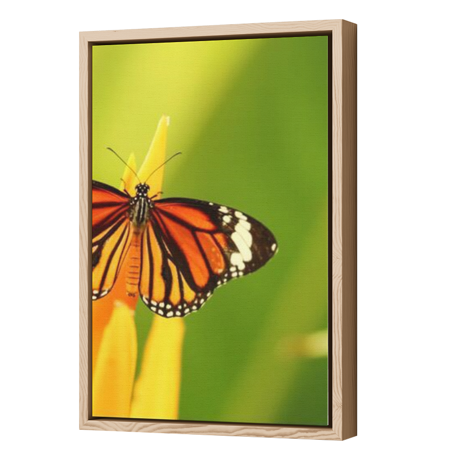 Thumbnail for Canvas - Wood Grain Floating Frame