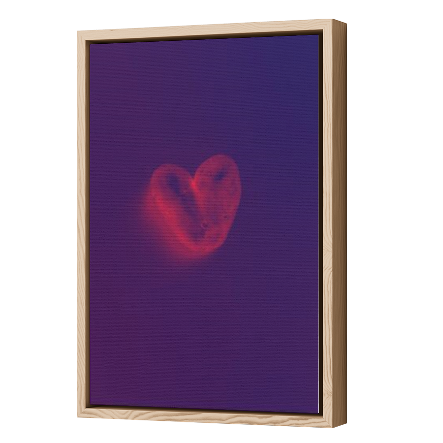 Thumbnail for Canvas - Wood Grain Floating Frame