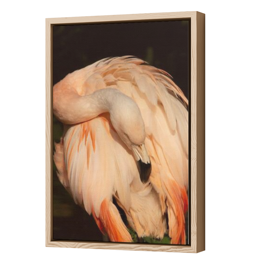 Thumbnail for Canvas - Wood Grain Floating Frame