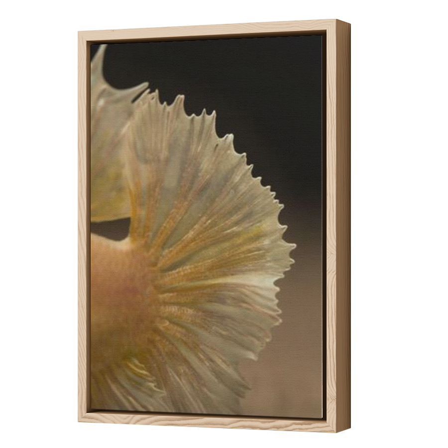 Thumbnail for Canvas - Wood Grain Floating Frame