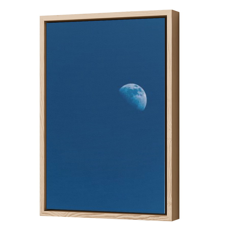Thumbnail for Canvas - Wood Grain Floating Frame