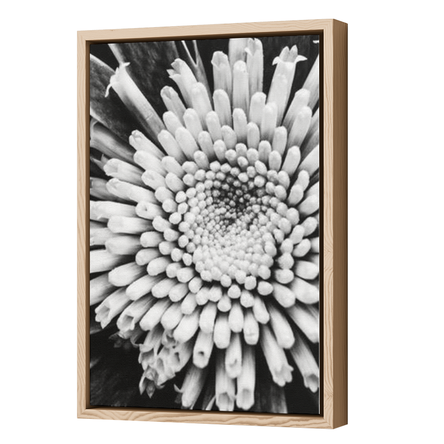Thumbnail for Canvas - Wood Grain Floating Frame