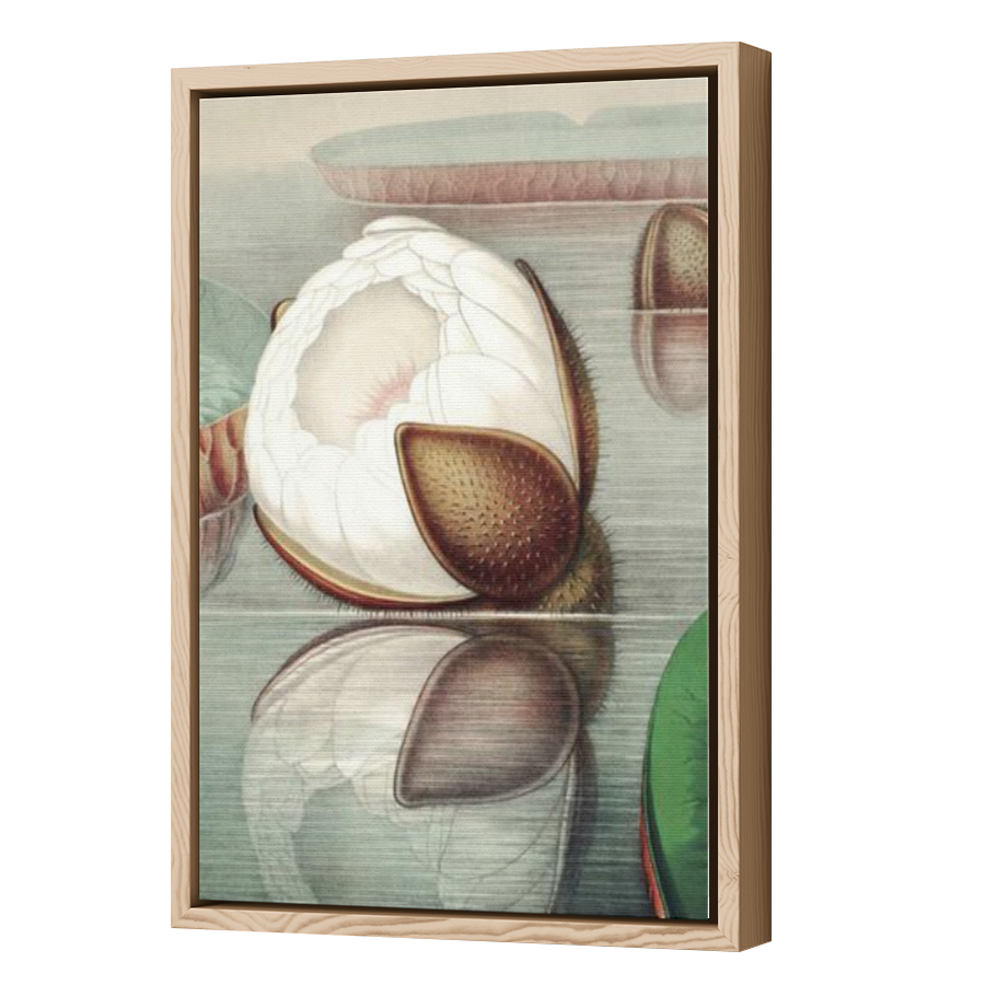 Thumbnail for Canvas - Wood Grain Floating Frame