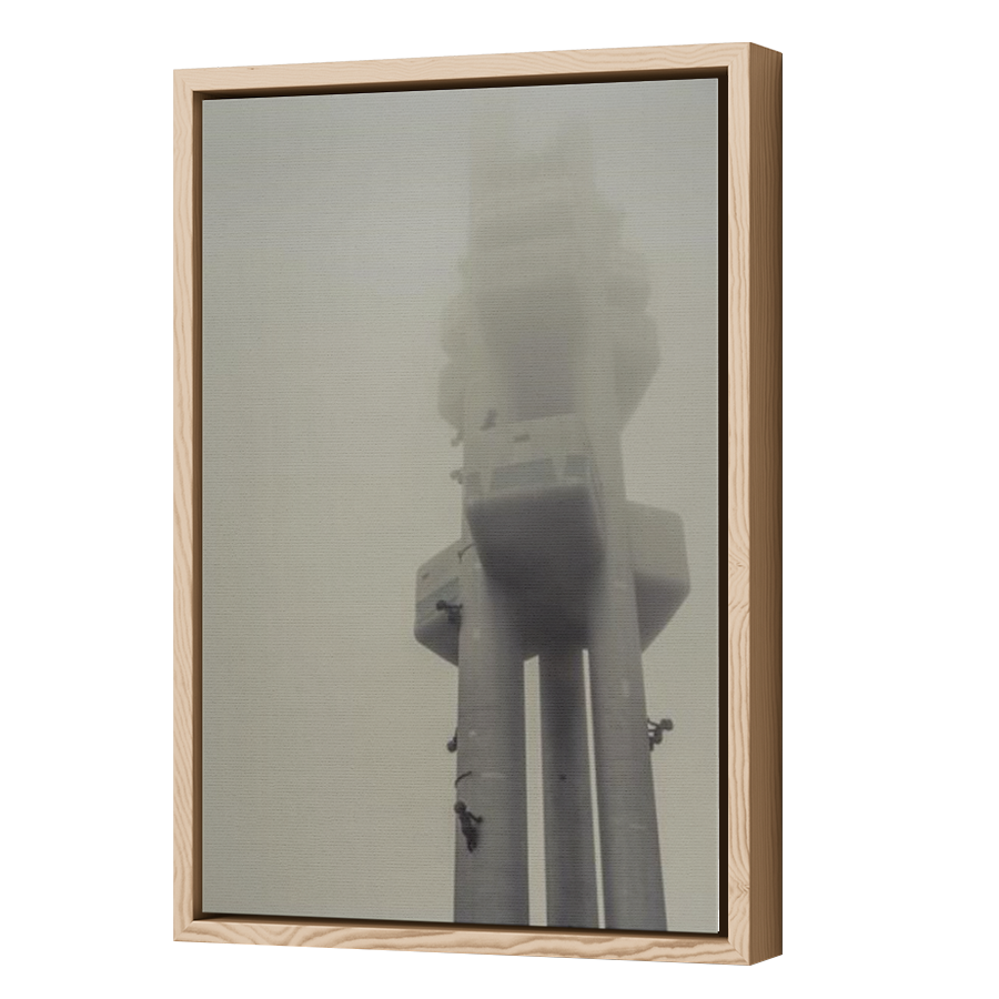 Thumbnail for Canvas - Wood Grain Floating Frame