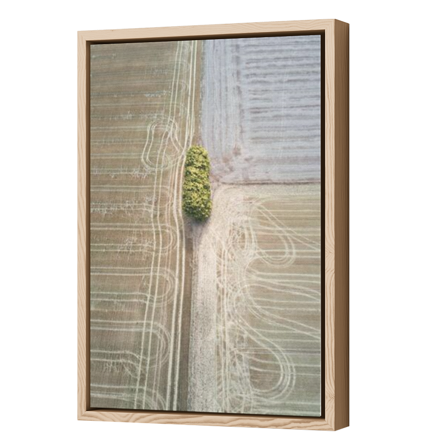 Thumbnail for Canvas - Wood Grain Floating Frame