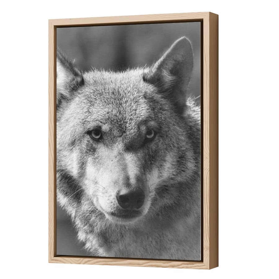 Thumbnail for Canvas - Wood Grain Floating Frame