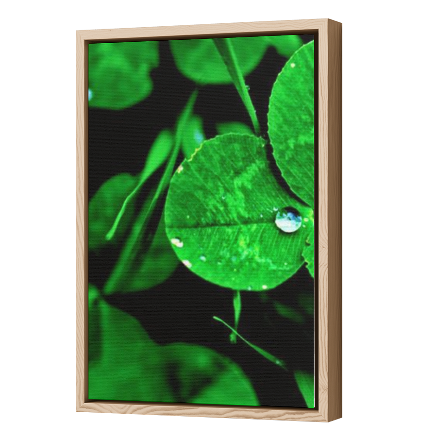 Thumbnail for Canvas - Wood Grain Floating Frame
