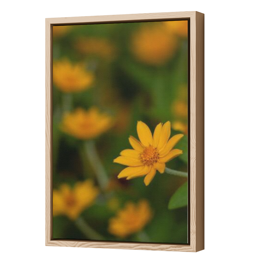 Thumbnail for Canvas - Wood Grain Floating Frame
