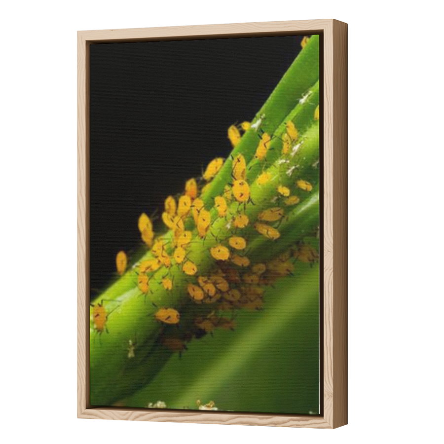 Thumbnail for Canvas - Wood Grain Floating Frame