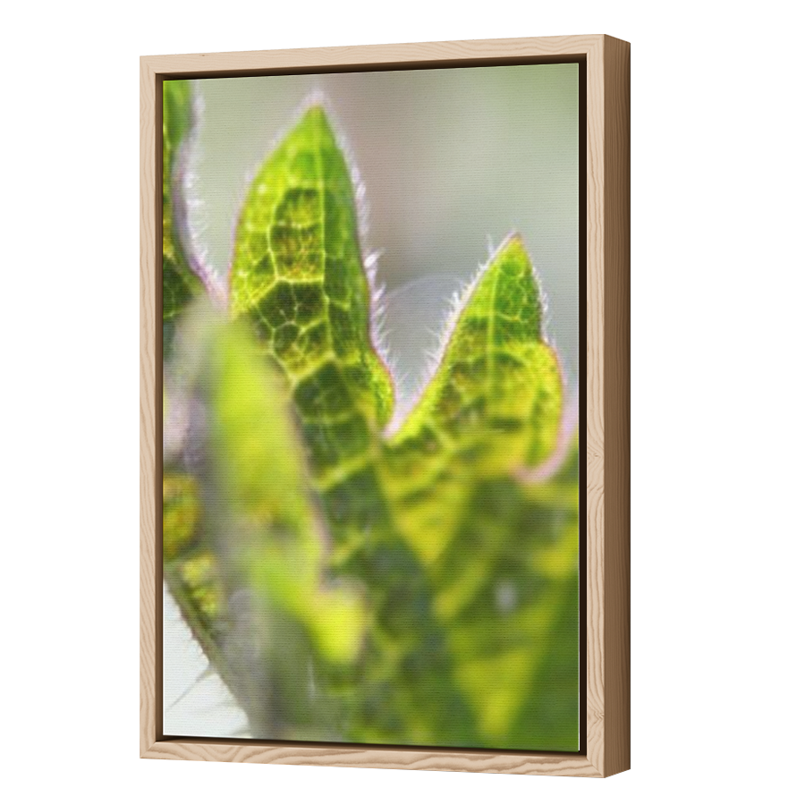 Thumbnail for Canvas - Wood Grain Floating Frame
