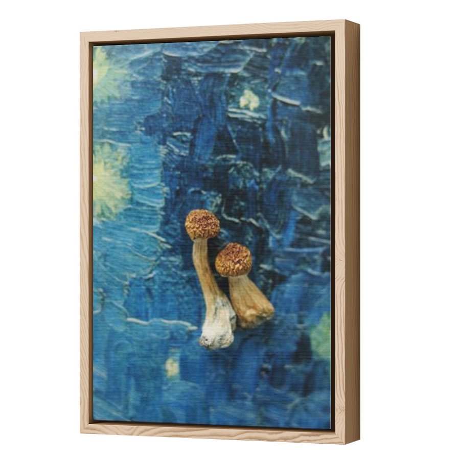 Thumbnail for Canvas - Wood Grain Floating Frame