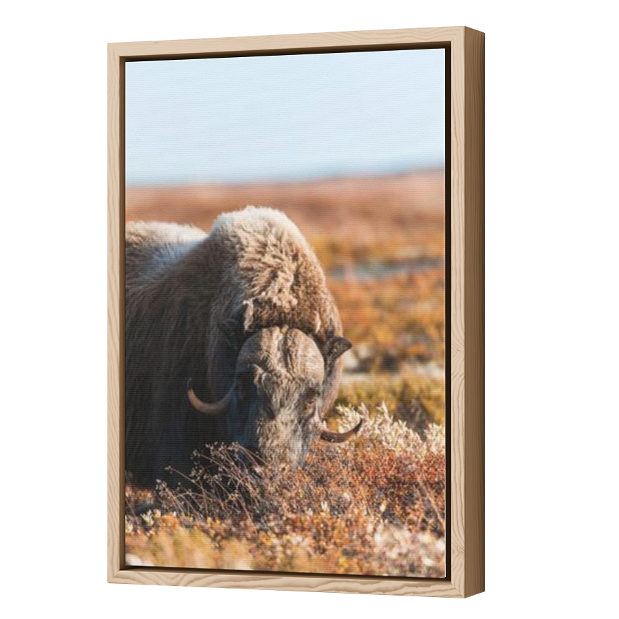 Thumbnail for Canvas - Wood Grain Floating Frame