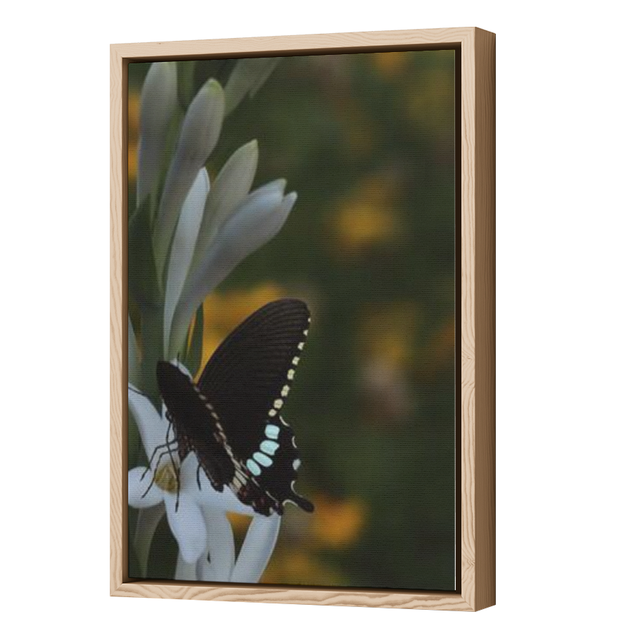 Thumbnail for Canvas - Wood Grain Floating Frame