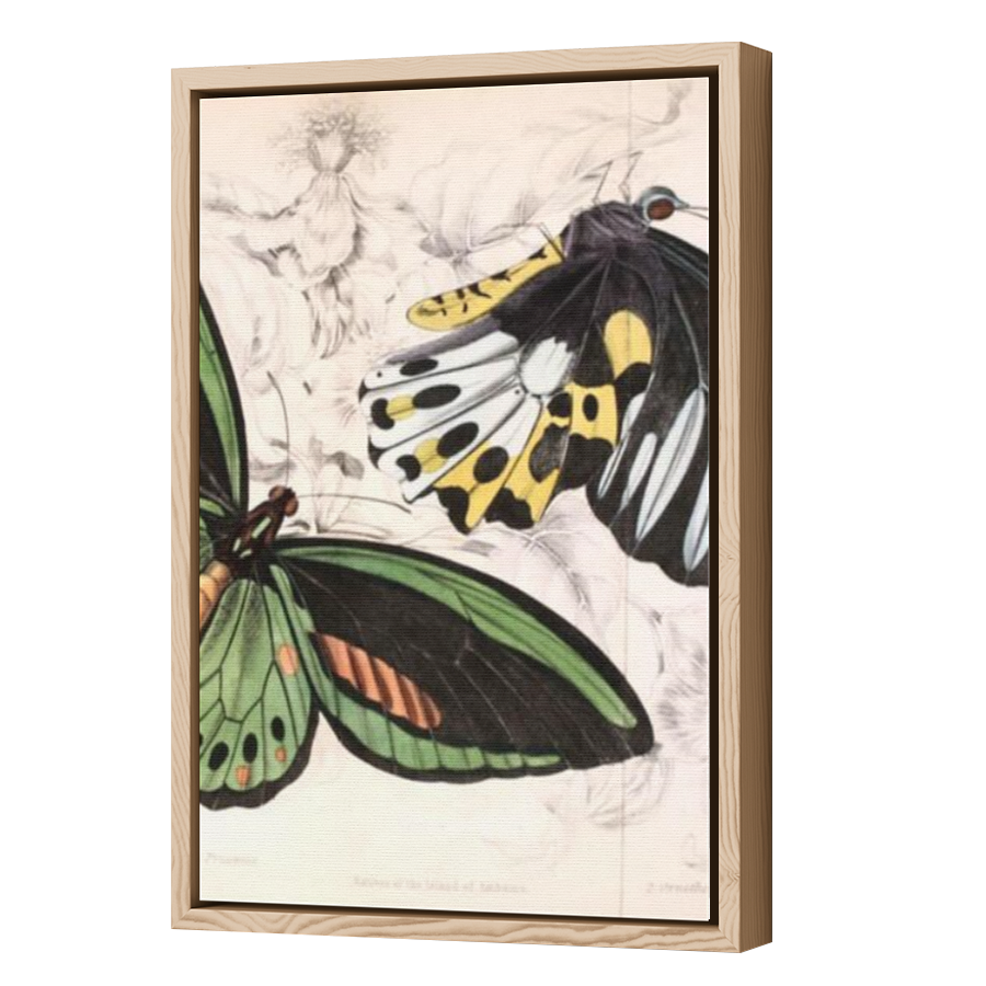 Thumbnail for Canvas - Wood Grain Floating Frame