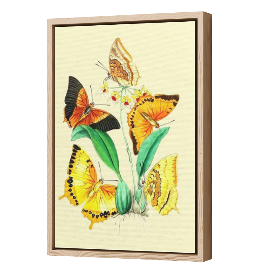 Thumbnail for Canvas - Wood Grain Floating Frame