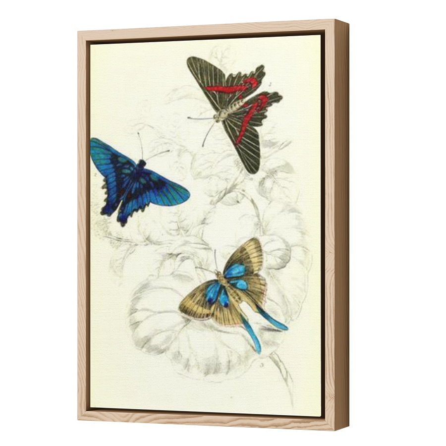 Thumbnail for Canvas - Wood Grain Floating Frame