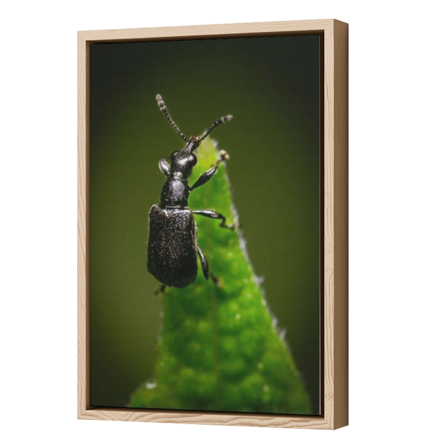 Thumbnail for Canvas - Wood Grain Floating Frame