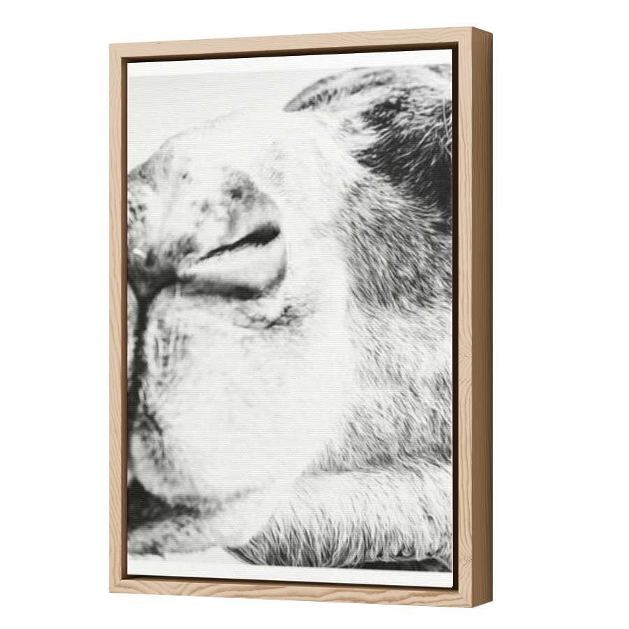 Thumbnail for Canvas - Wood Grain Floating Frame