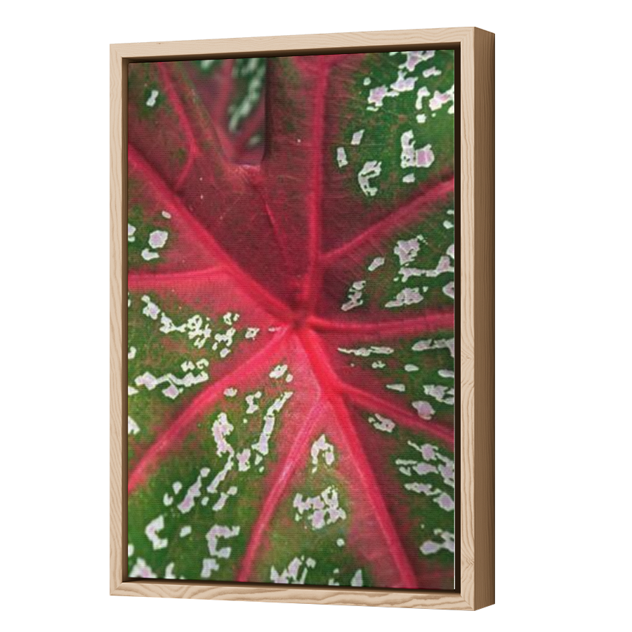 Thumbnail for Canvas - Wood Grain Floating Frame