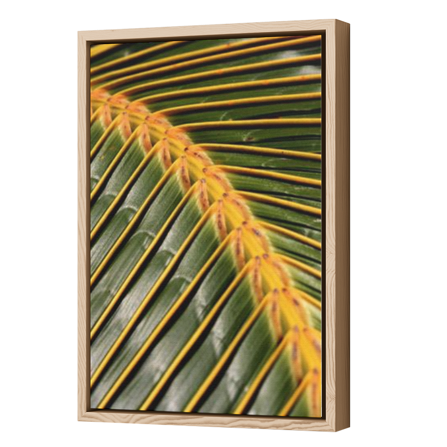 Thumbnail for Canvas - Wood Grain Floating Frame