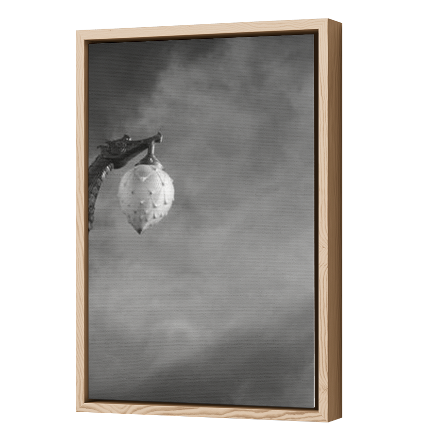 Thumbnail for Canvas - Wood Grain Floating Frame