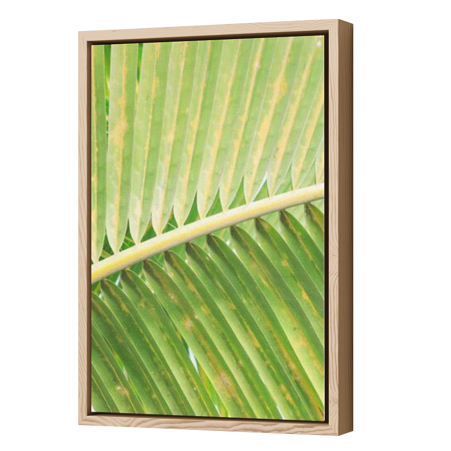 Thumbnail for Canvas - Wood Grain Floating Frame