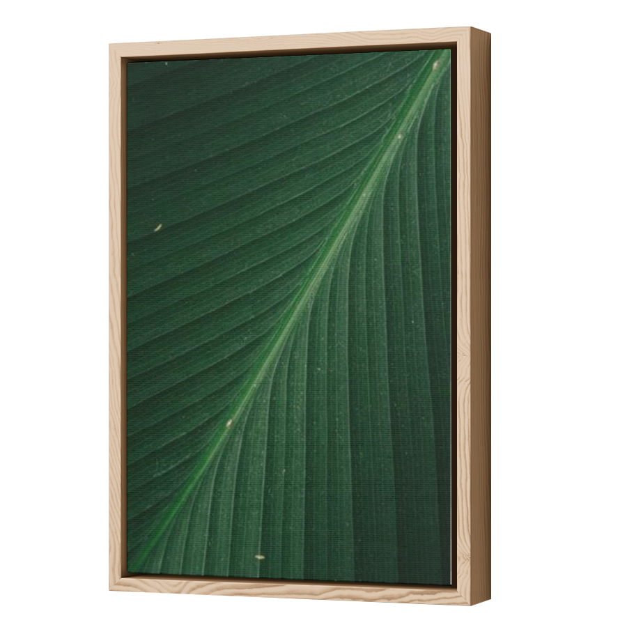 Thumbnail for Canvas - Wood Grain Floating Frame