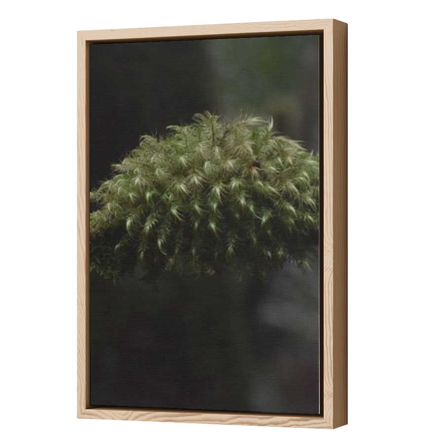 Thumbnail for Canvas - Wood Grain Floating Frame