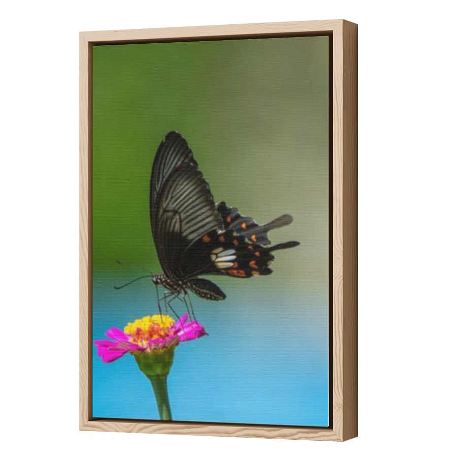 Thumbnail for Canvas - Wood Grain Floating Frame