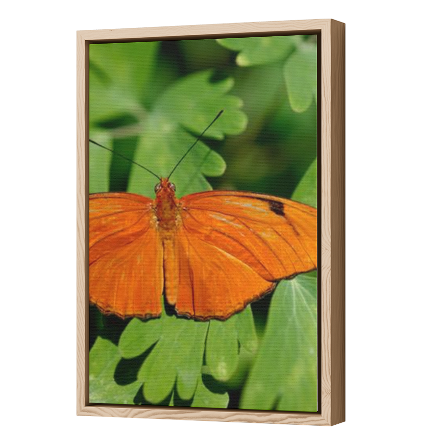 Thumbnail for Canvas - Wood Grain Floating Frame
