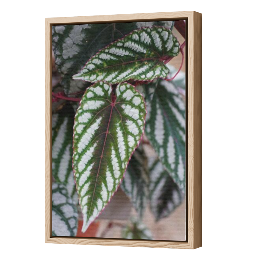 Thumbnail for Canvas - Wood Grain Floating Frame