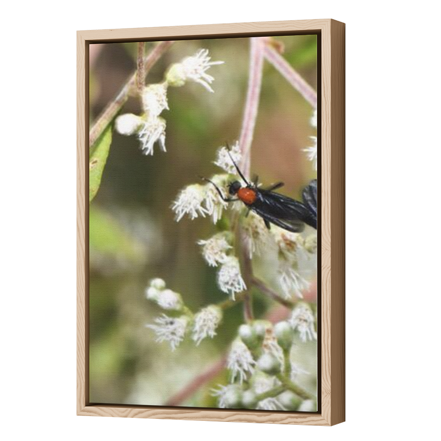 Thumbnail for Canvas - Wood Grain Floating Frame