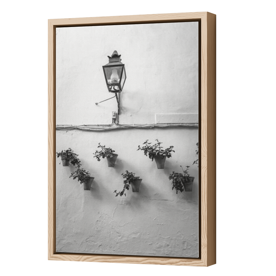 Thumbnail for Canvas - Wood Grain Floating Frame