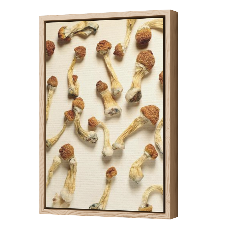 Thumbnail for Canvas - Wood Grain Floating Frame