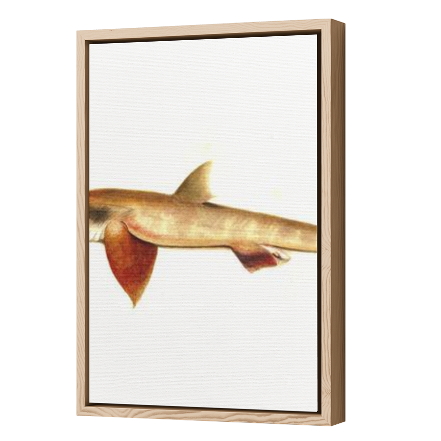 Thumbnail for Canvas - Wood Grain Floating Frame