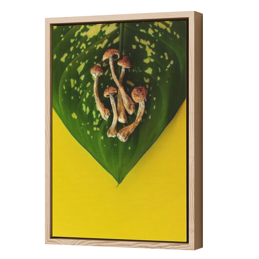 Thumbnail for Canvas - Wood Grain Floating Frame