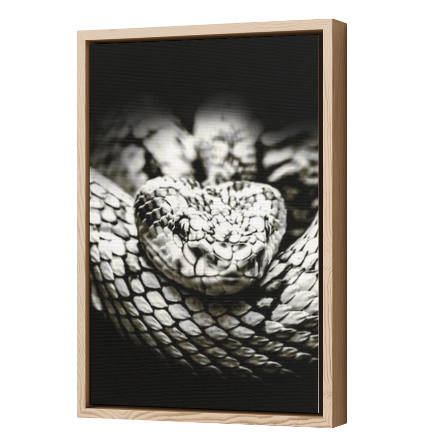 Thumbnail for Canvas - Wood Grain Floating Frame