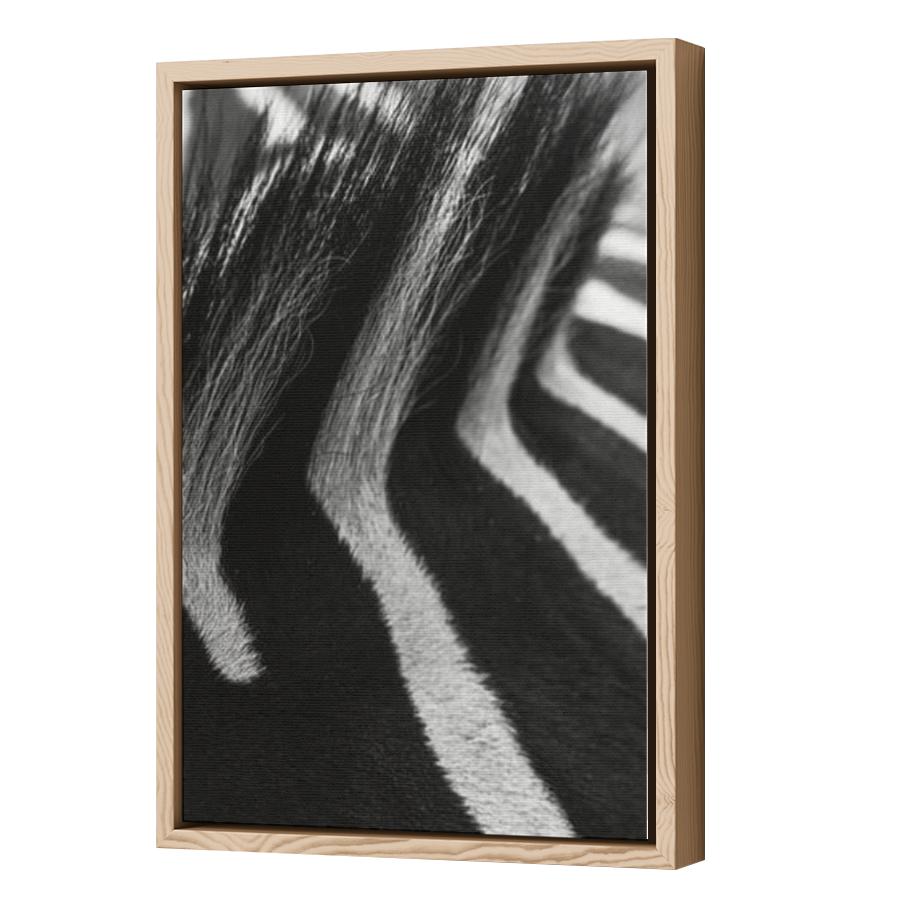 Thumbnail for Canvas - Wood Grain Floating Frame