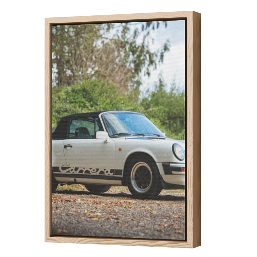 Thumbnail for Canvas - Wood Grain Floating Frame