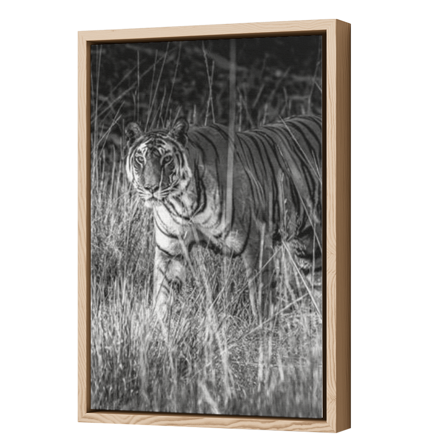 Thumbnail for Canvas - Wood Grain Floating Frame