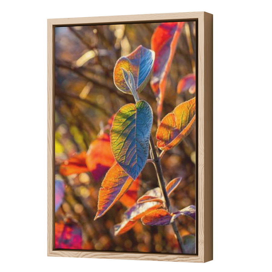 Thumbnail for Canvas - Wood Grain Floating Frame