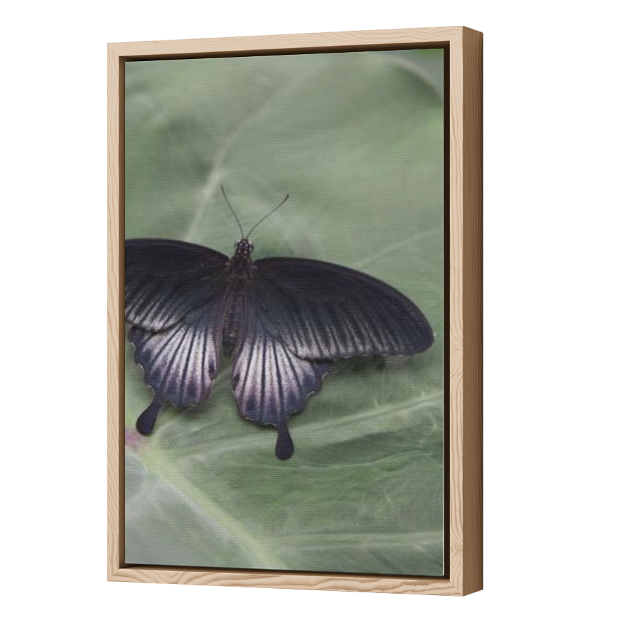 Thumbnail for Canvas - Wood Grain Floating Frame