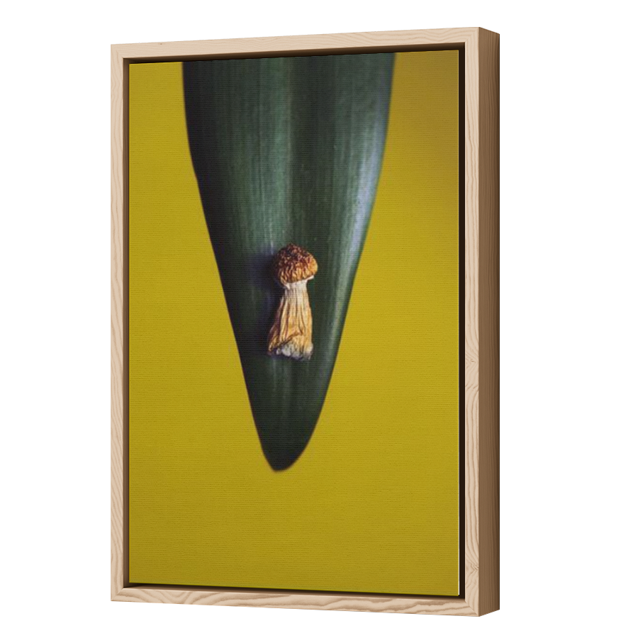Thumbnail for Canvas - Wood Grain Floating Frame