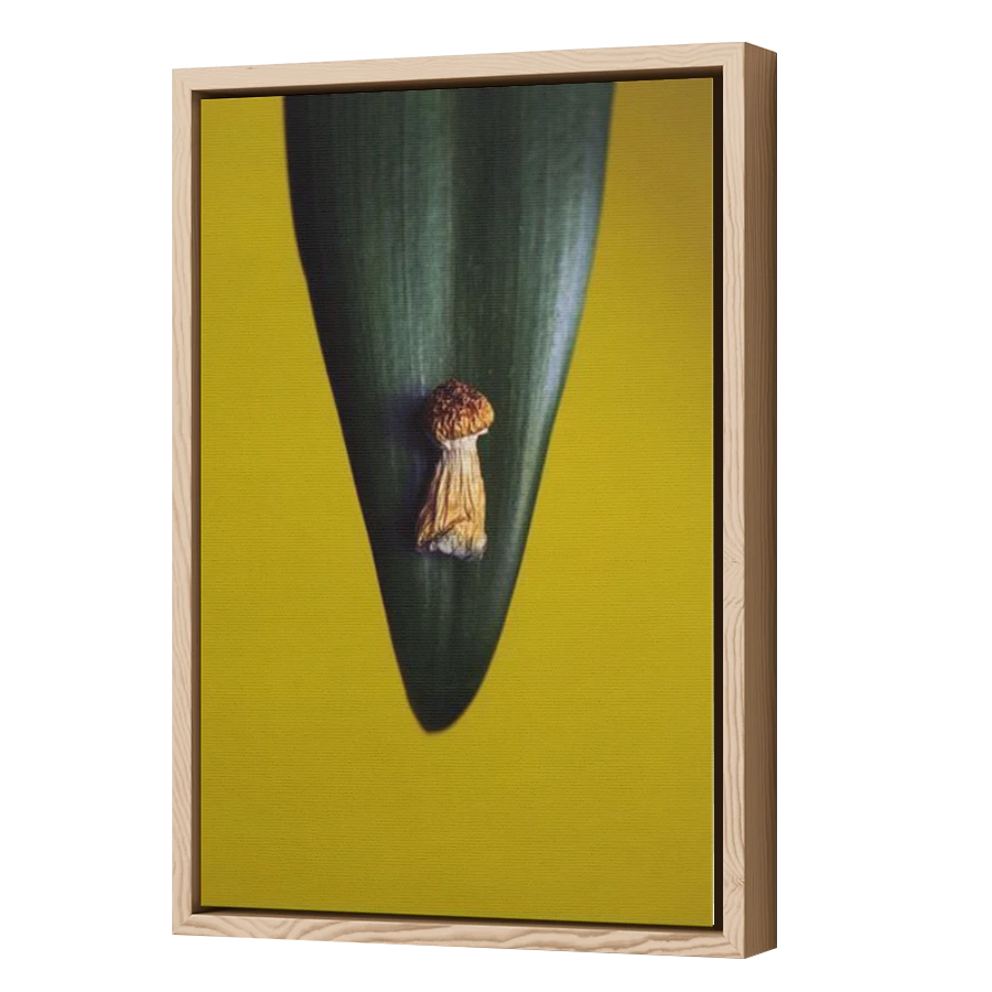 Thumbnail for Canvas - Wood Grain Floating Frame