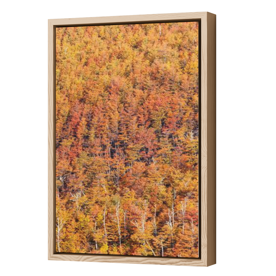 Thumbnail for Canvas - Wood Grain Floating Frame