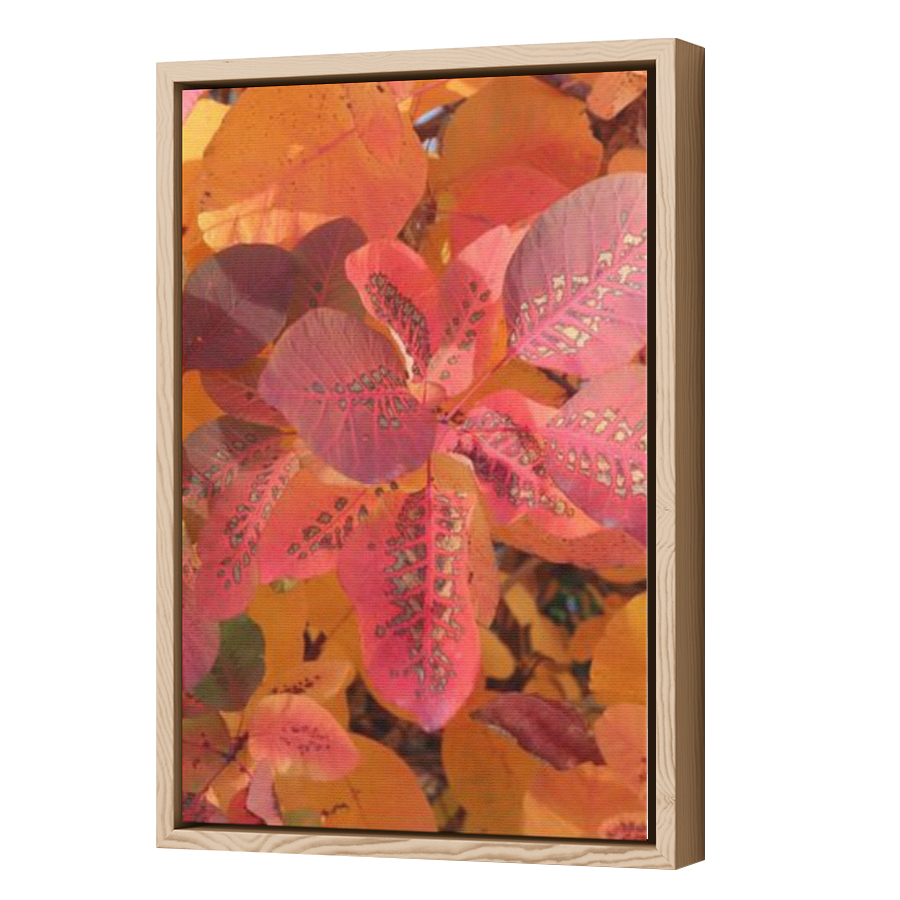 Thumbnail for Canvas - Wood Grain Floating Frame